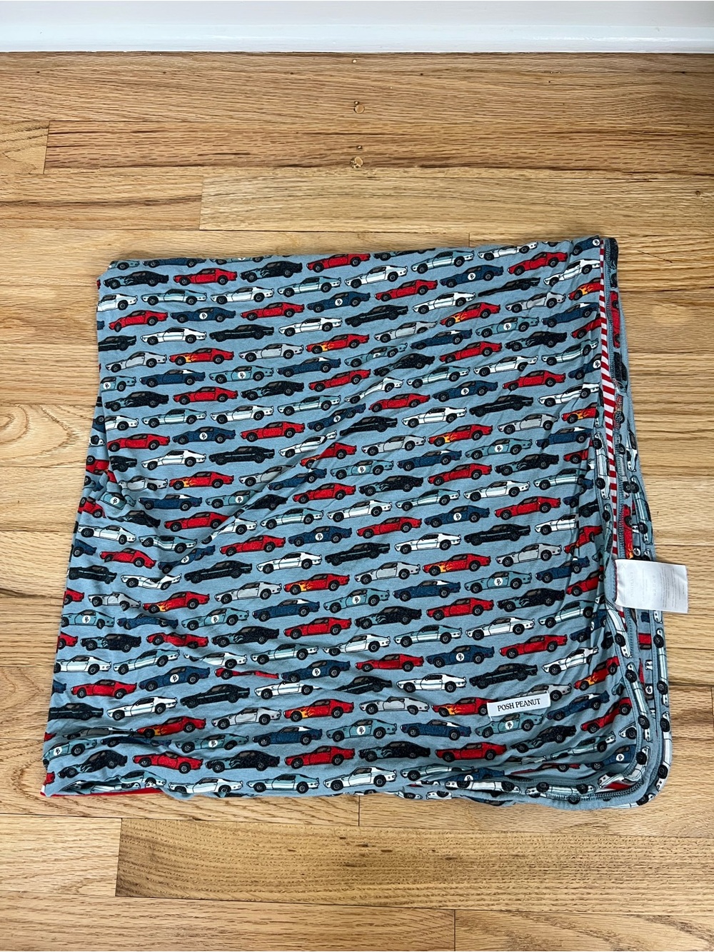 Posh Peanut Bamboo Cloud Bamboo Blanket Cars